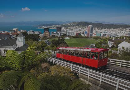 wellington sightseeing tours|THE TOP 10 Wellington Tours & Excursions (UPDATED 2024) .